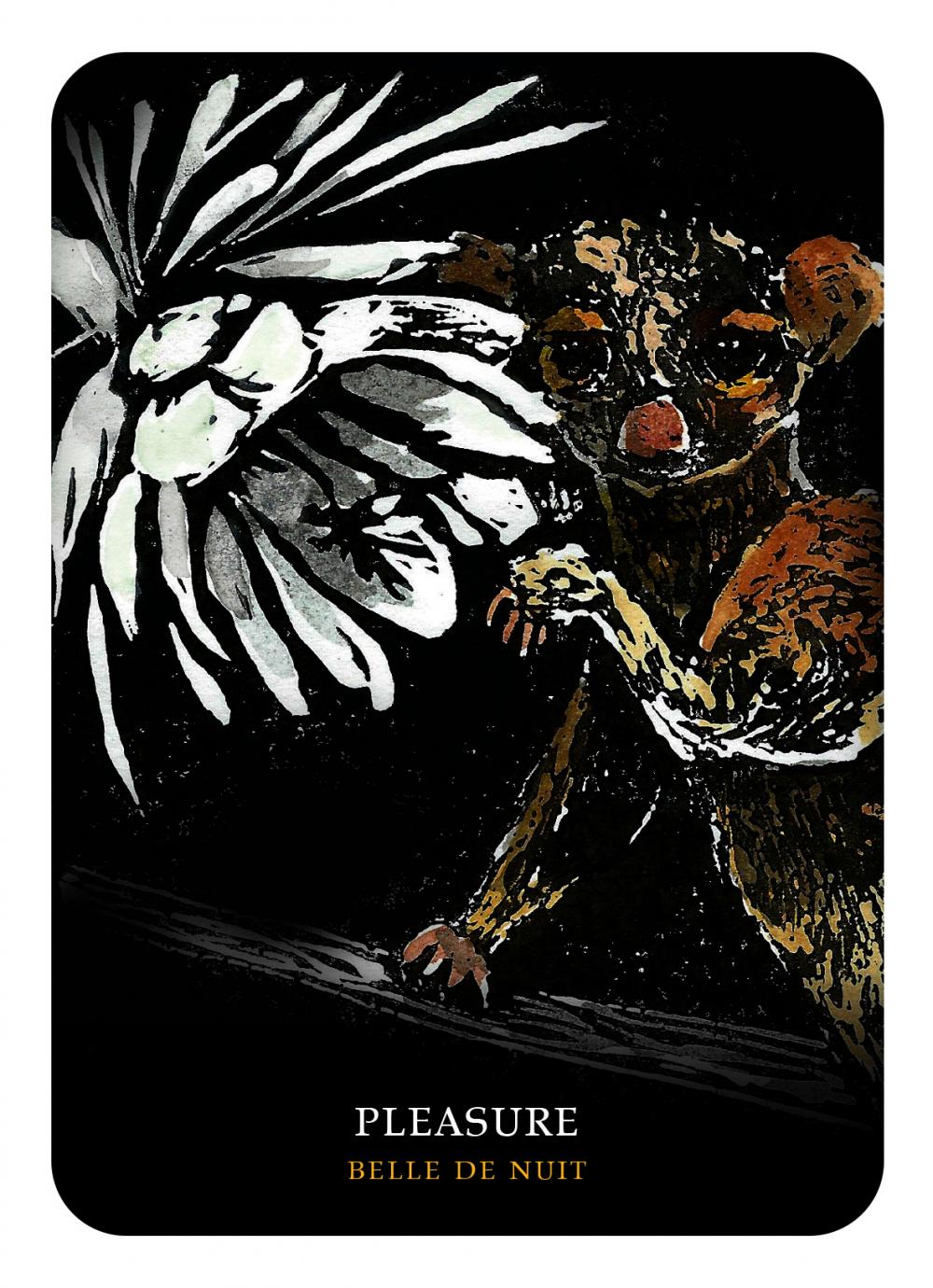 Flowers of the Night Oracle Cards